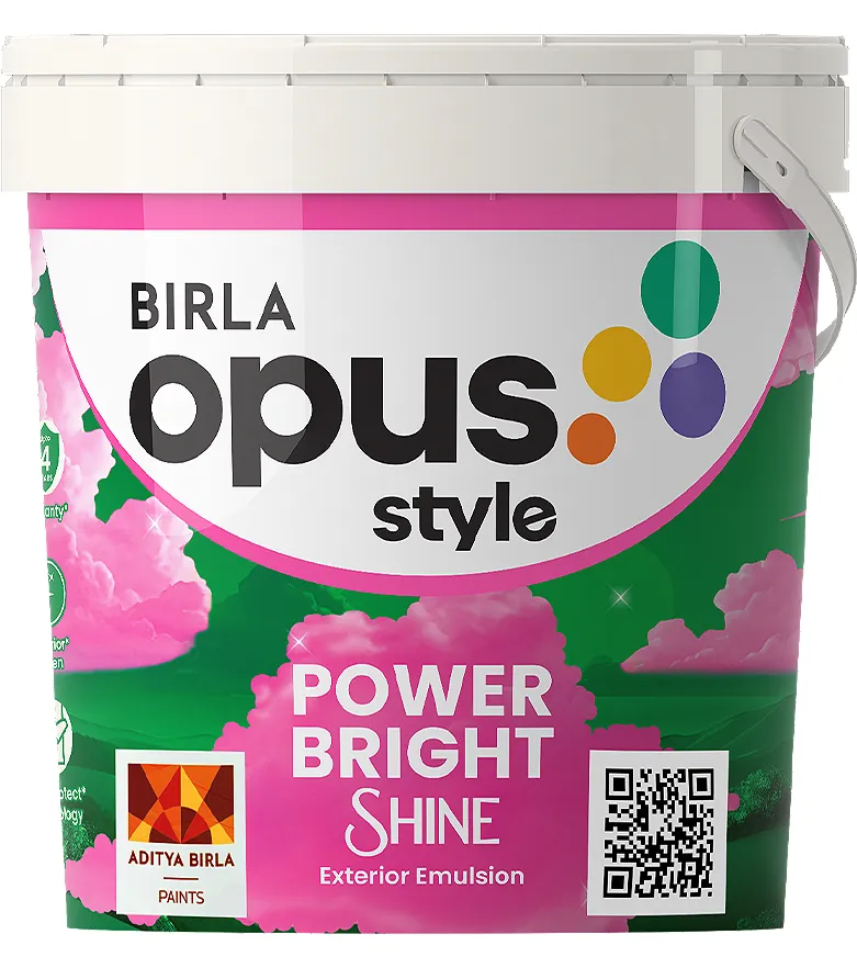 Birla Opus Exterior Economy Style Power Bright Shine White (9900) 10L