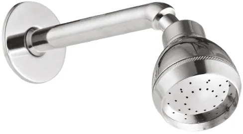 Goldline Torch Overhead Shower with Arm Chrome OHS-015