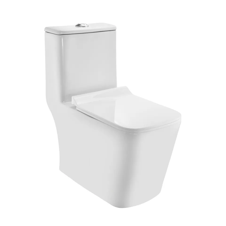 Jaquar Rimless Single Piece Wc With Pp Soft Clo Code: CNS-WHT-855S220SPPSM