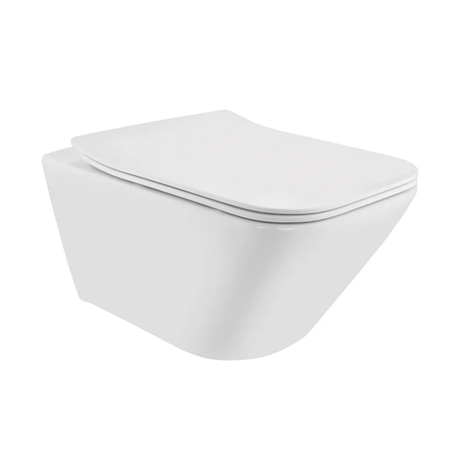 Jaquar - Rimless Blind Installation Wall Hung Wc - Laguna Sanitaryware -  LAS-WHT-91953BIUFSM