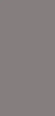 Morbi Tiles (Blackberry) Floral Pastel Grey 600 x 1200 mm (2x4 Feet) Matt Finish 9 mm Thickness, (2 Tiles/Box and 15.5 Sqft/Box) - image 1