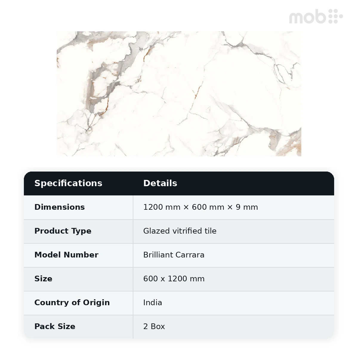 Morbi Tiles (Sparten) Sparten Brilliant Carrara 600 x 1200 mm (2x4 Feet) Matt Finish 9 mm Thickness, (2 Tiles/Box and 15.5 Sqft/Box) - image 6