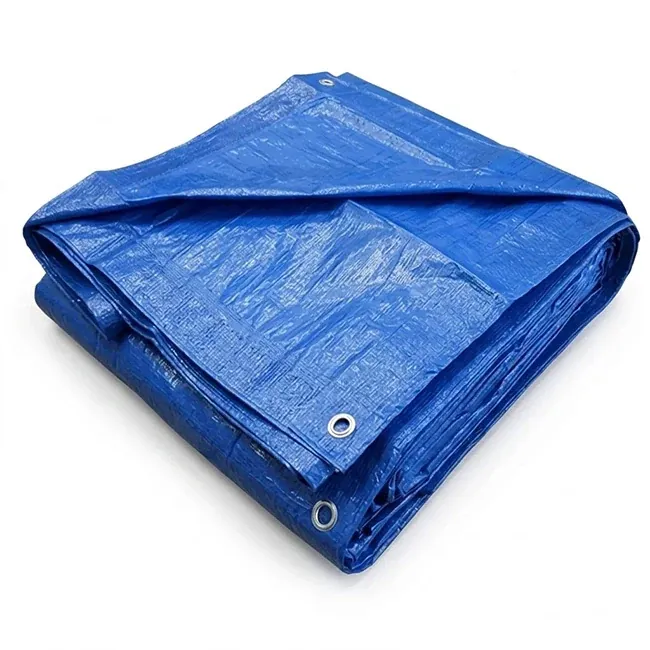 Regional Brand Tarpaulin 12 x 15 Feet