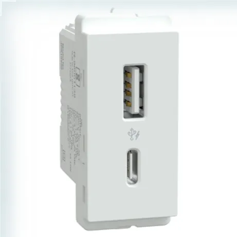 Schneider Electric Livia Livia A+C Type USB Charger (1M) - White, Code: P7004