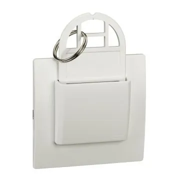 Schneider Electric Opale Key Tag Switch (Mechanical Type 20 A) - White, Code: AAKX6005